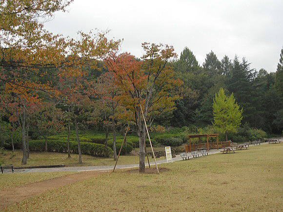 f0094843_126188.jpg