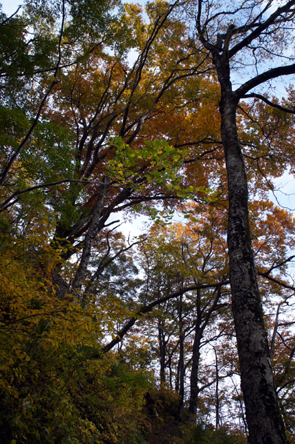 f0214649_1555759.jpg