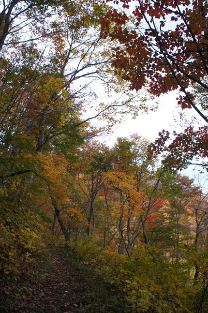 f0214649_1557699.jpg