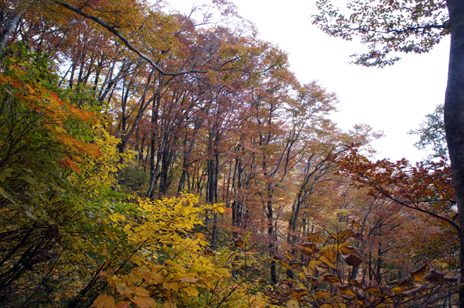 f0214649_15595539.jpg