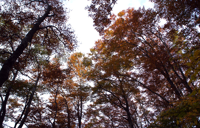 f0214649_1624374.jpg