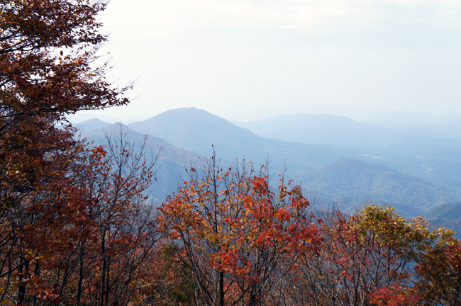 f0214649_1634320.jpg