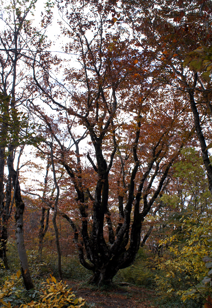 f0214649_1743347.jpg