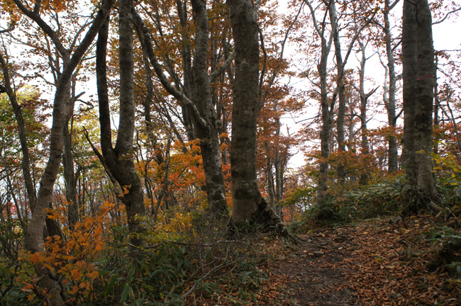 f0214649_17472772.jpg