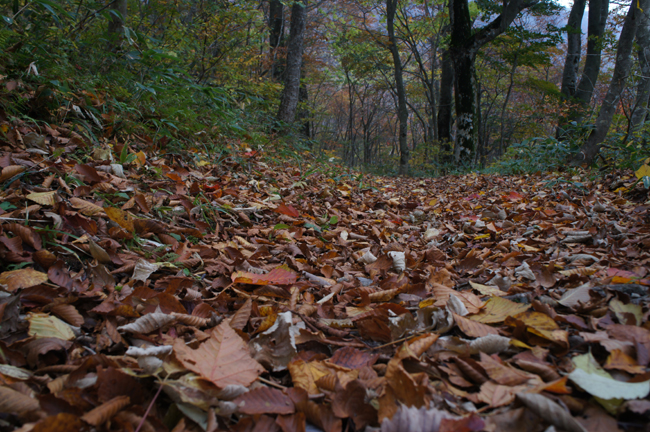 f0214649_17474574.jpg