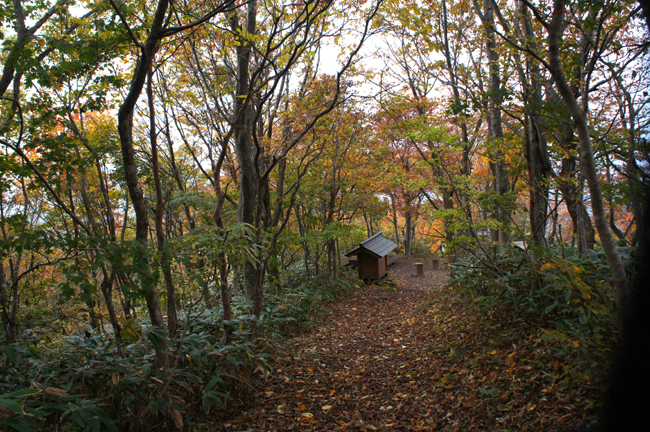 f0214649_1752191.jpg