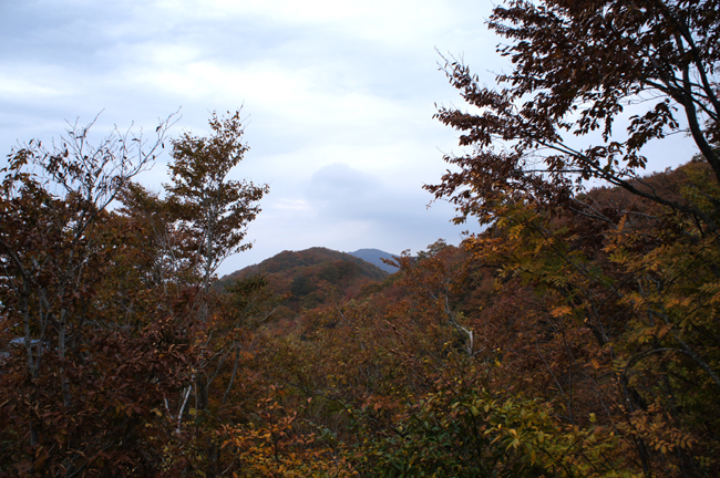 f0214649_17531943.jpg