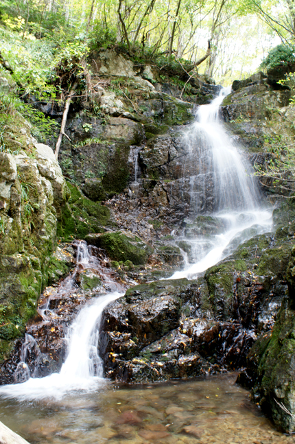 f0214649_17581963.jpg
