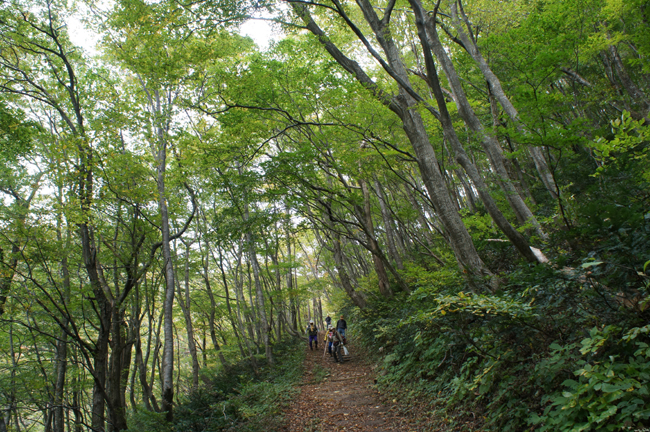 f0214649_1759071.jpg