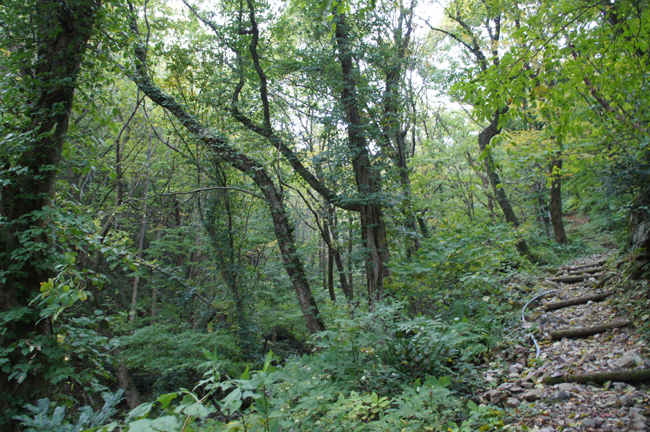 f0214649_8493730.jpg