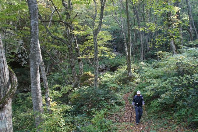 f0214649_85773.jpg