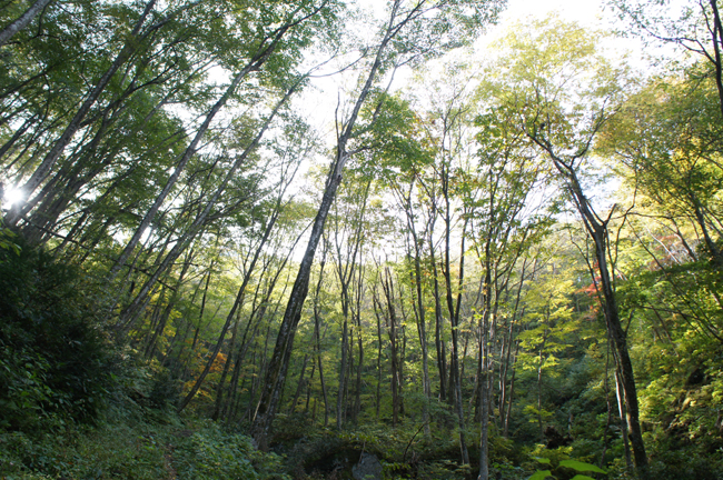 f0214649_8592544.jpg