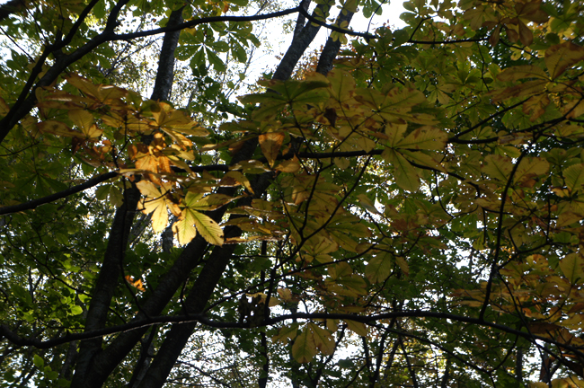 f0214649_903759.jpg