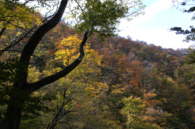 f0214649_924832.jpg