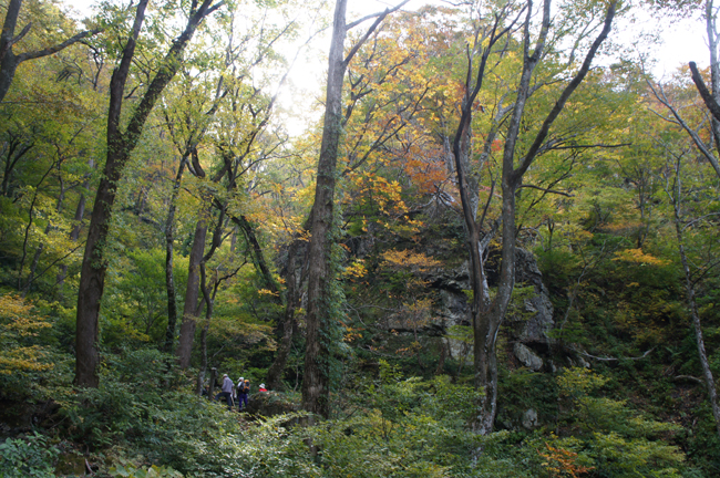 f0214649_95145.jpg