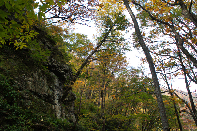 f0214649_954919.jpg