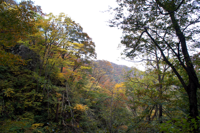 f0214649_973945.jpg