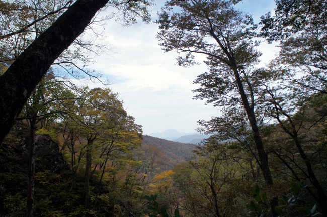 f0214649_975360.jpg