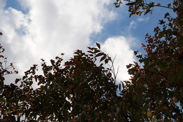 e0184251_781627.jpg