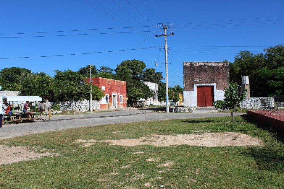 d0250459_828279.jpg