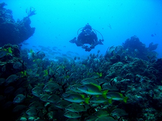 d0250459_932766.jpg