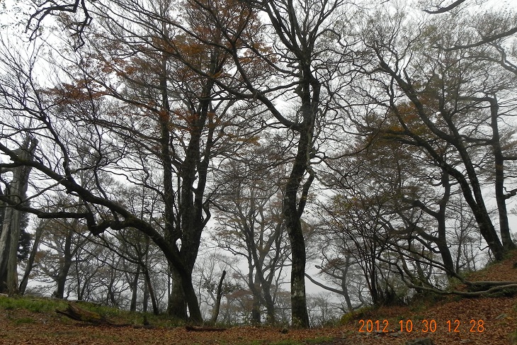 f0016066_20423386.jpg