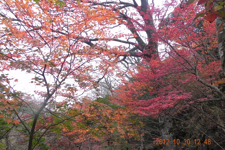 f0016066_20471769.jpg