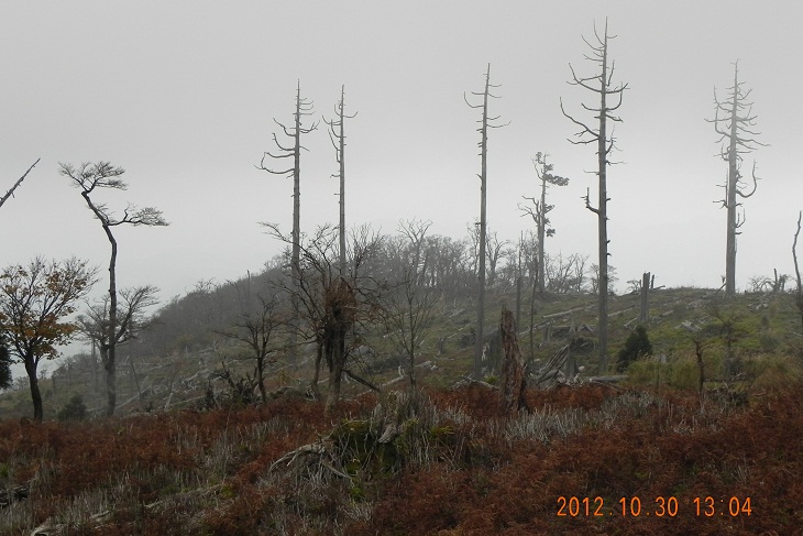 f0016066_2103951.jpg