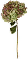 e0272870_2215598.png
