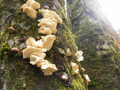 f0057070_22265516.jpg