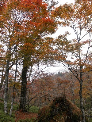 f0057070_22272713.jpg