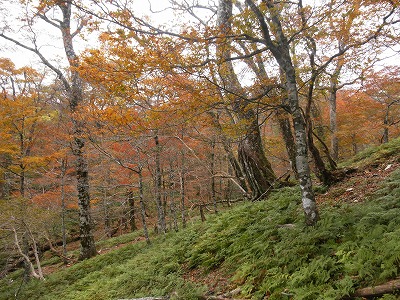f0057070_22273890.jpg