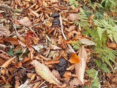 f0057070_22274873.jpg