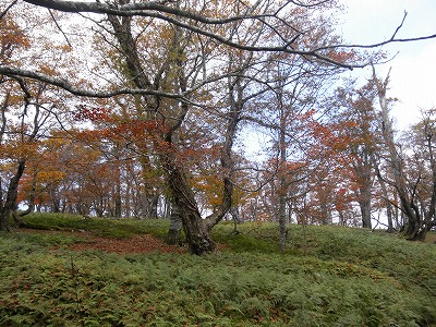 f0057070_2227859.jpg