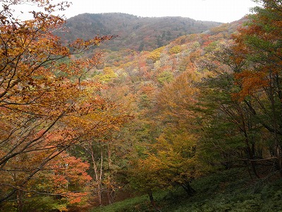 f0057070_2228778.jpg