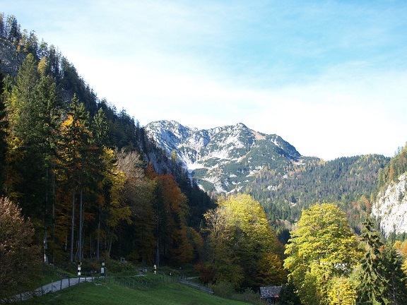 e0078071_1157284.jpg