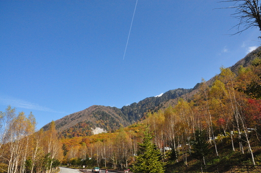 f0029271_927790.jpg