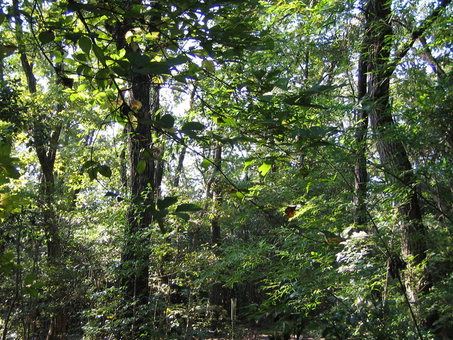 e0031572_1444262.jpg
