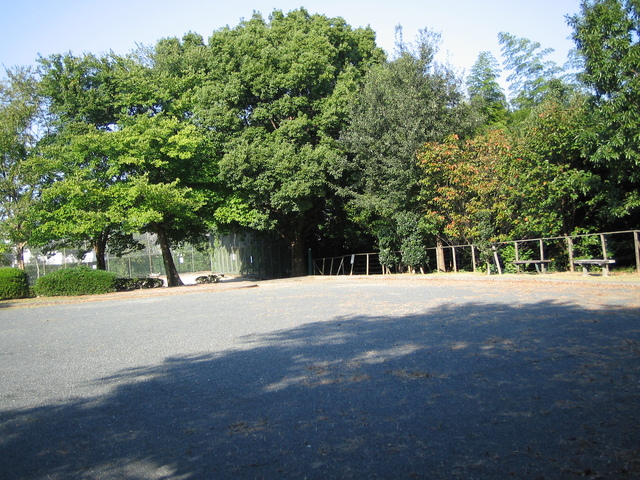 e0031572_1444525.jpg