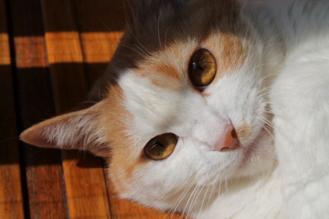 f0054677_8283430.jpg