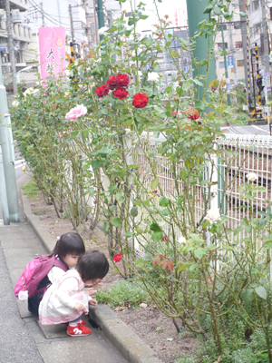 c0004078_8573592.jpg
