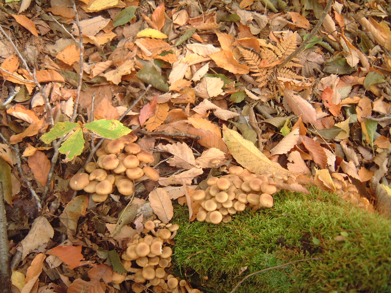 c0237780_11471262.jpg