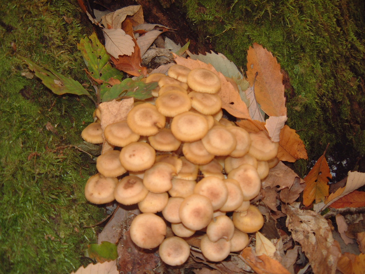 c0237780_11475917.jpg