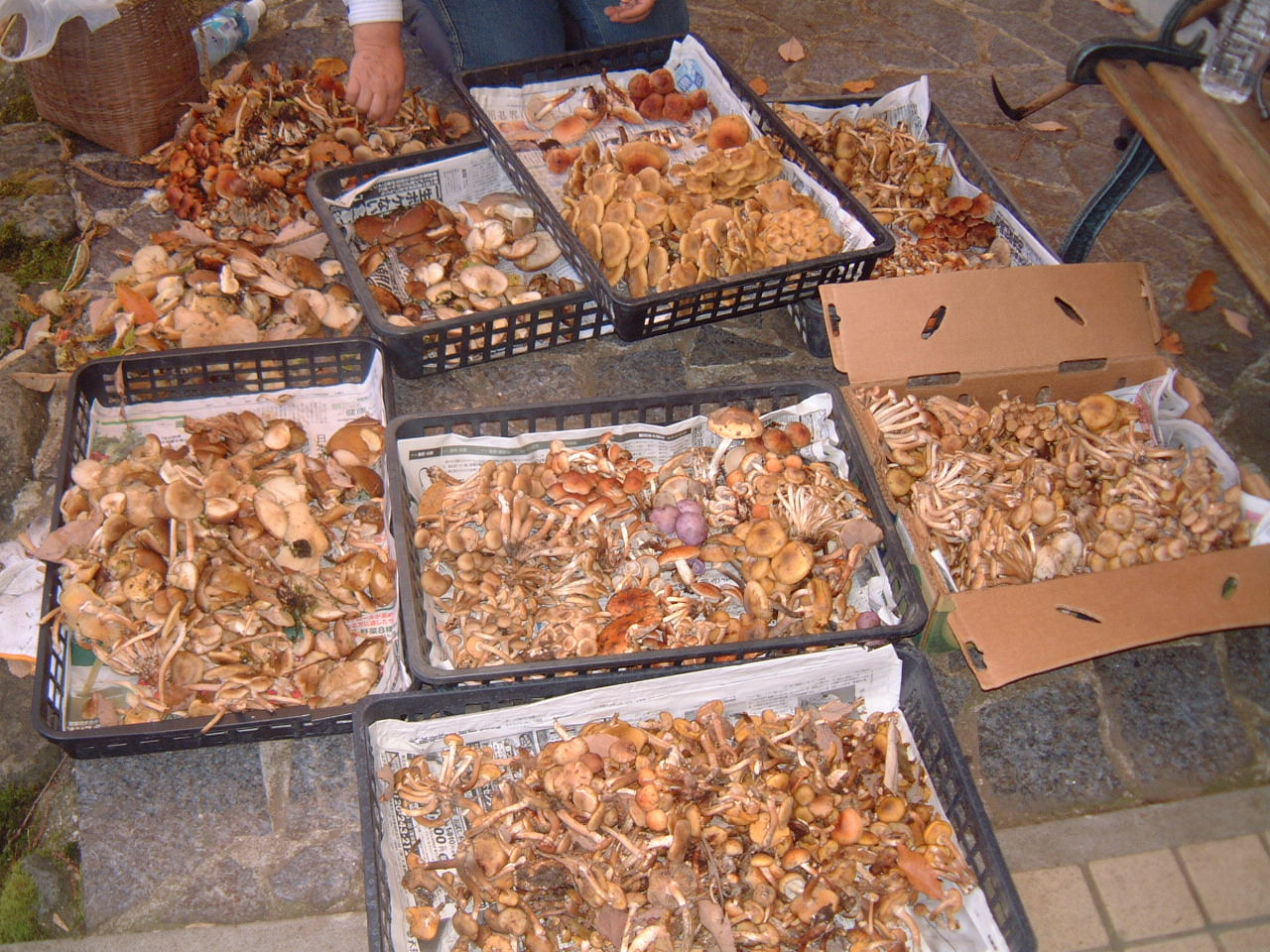 c0237780_15143399.jpg