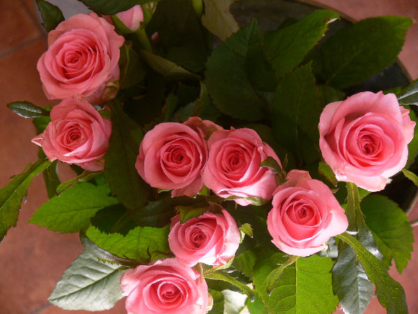 e0140986_1216183.jpg