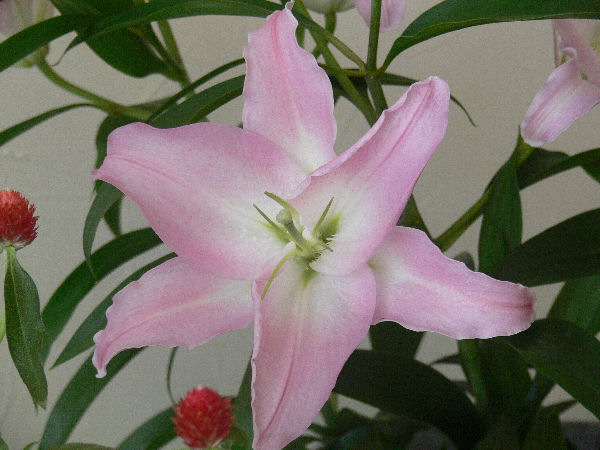 e0140986_1217535.jpg