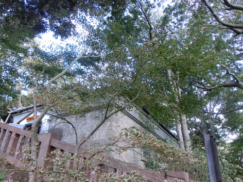 e0123587_10331446.jpg