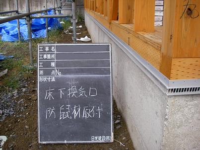 a0147391_1705674.jpg