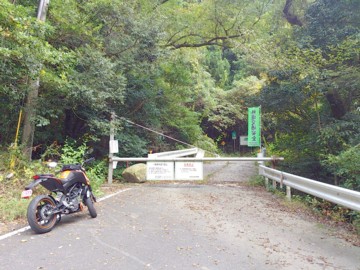 b0035391_13343731.jpg