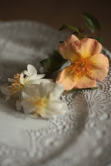 e0209997_17112429.jpg